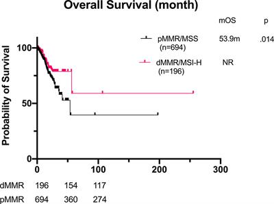 The Impact of Mismatch Repair Status on Prognosis of Patients With Gastric Cancer: A Multicenter Analysis